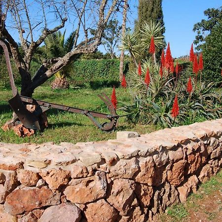 Quinta do Rio Country Inn Silves Exterior foto
